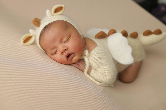 Nid d'ange pour bébé : confort sécurisé et douceur pour chaque sortie